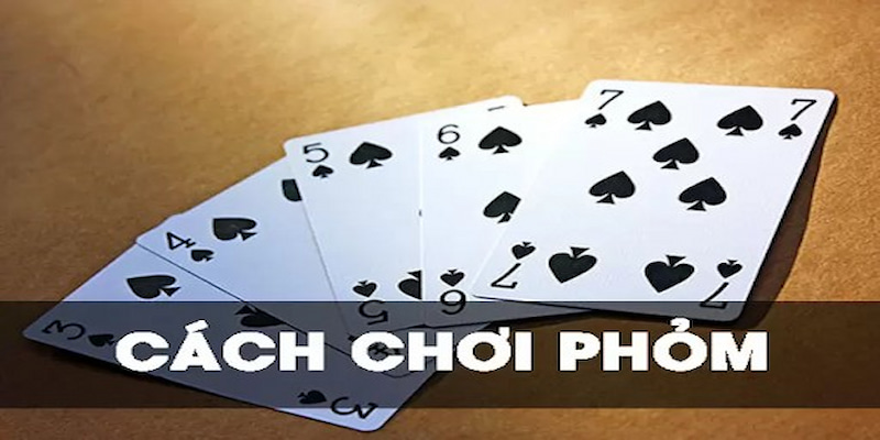 Quy tắc cơ bản cực hấp dẫn từ cách chia bài đến cách tính điểm